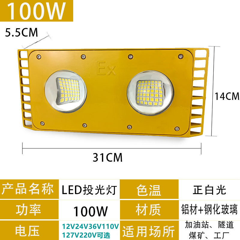 LED防爆投光灯低压12V24V36V110V127V220V380V隧道工地台车冷库灯-图0