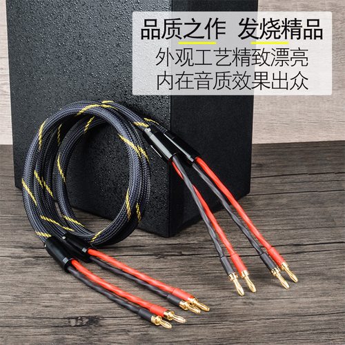 银珂 单晶铜镀银发烧级AV音响HIFI功放喇叭音箱通用连接香蕉头线 - 图0