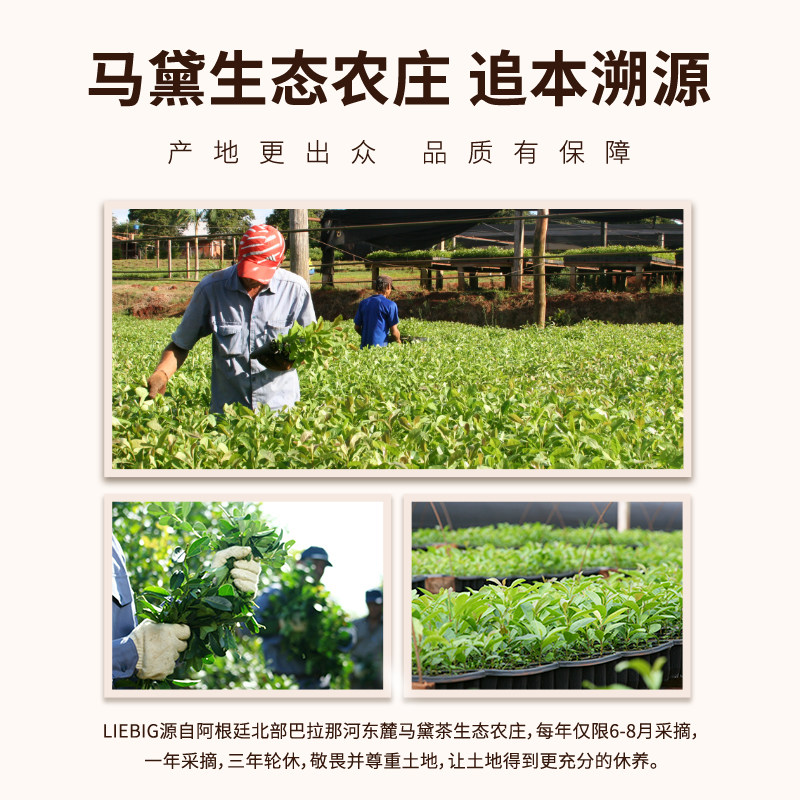 阿根廷原装进口莱宾吉特级生态马黛茶养生茶饮玛黛茶【买二送杯】,淘宝优惠券,粉丝福利购,淘宝优惠卷