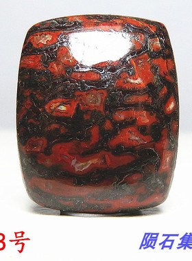 恐龙骨天然化石戒面吊坠镶嵌