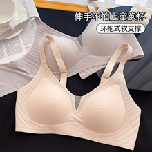 S低拍2件！六只兔子小拢杯内衣女聚拢文胸