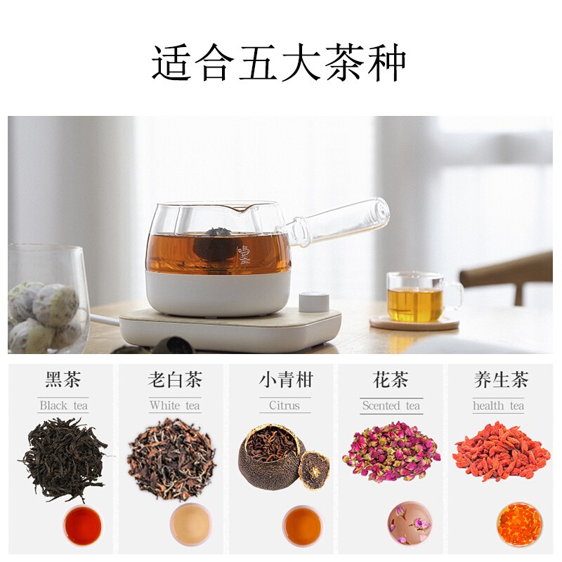 三合一煮茶器玻璃养生壶自动电煮泡茶炉家用办公室迷你茶饮机