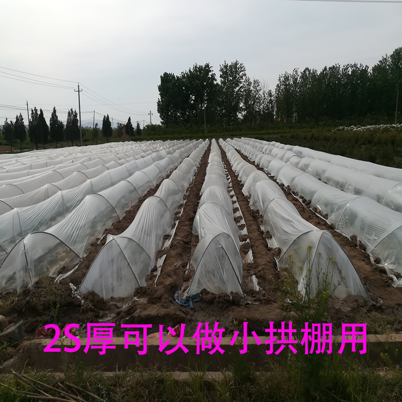 全新料农用加厚白地膜白膜保温保湿塑料透明蔬菜大棚种植混凝土膜 - 图2