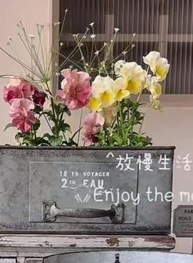 复古铁皮抽屉花盆长方形铁艺花器多肉花盒铁皮桶美式做旧花盆种花