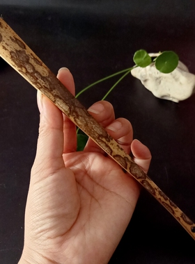 精工老料空白扇掌心文玩梅鹿斑竹
