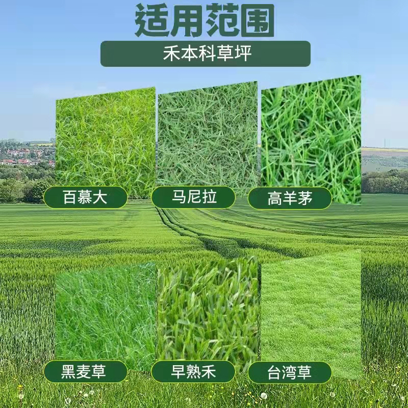 农药麦冬专用除草剂尖叶草坪专用除草剂黑麦草路政绿化草皮除杂草 - 图2