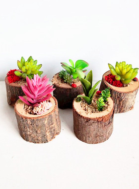 搁板摆件木桩多肉套装仿真植物