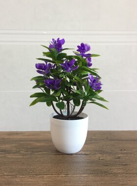 仿真植物盆栽新款塑料绿植摆件