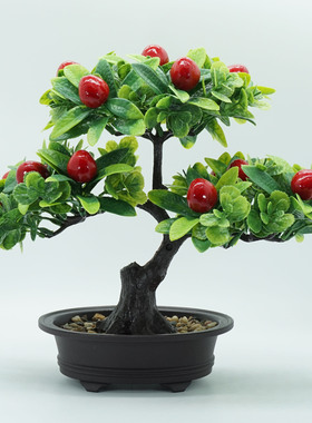家居装饰仿真植物盆栽仿真水果