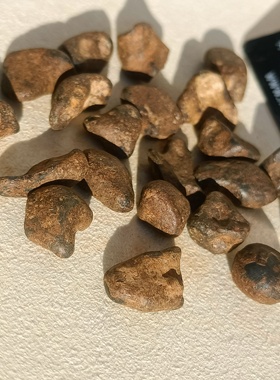 摩洛哥Taza塔扎铁陨石定向原石