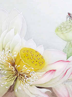 工笔画白描底稿荷花临摹打印稿