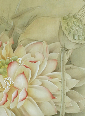 工笔画白描底稿荷花实物勾线临摹白纸打印稿杨冬冬尺寸可选HD16