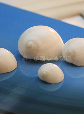 鱼缸贝壳装饰品贝壳雨点