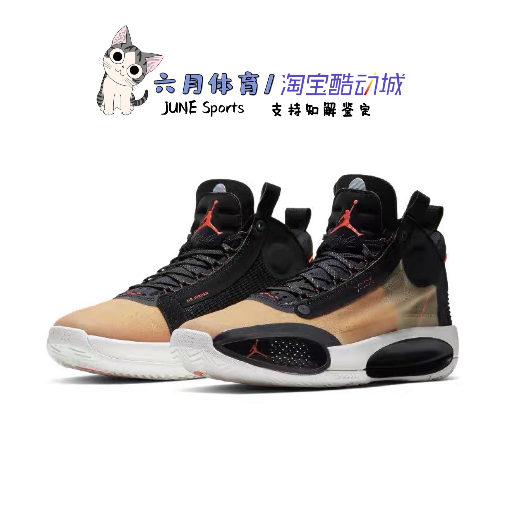 耐克 NIKE AIR JORDAN XXXIV PF AJ34男子实战篮球鞋 BQ3381-图1