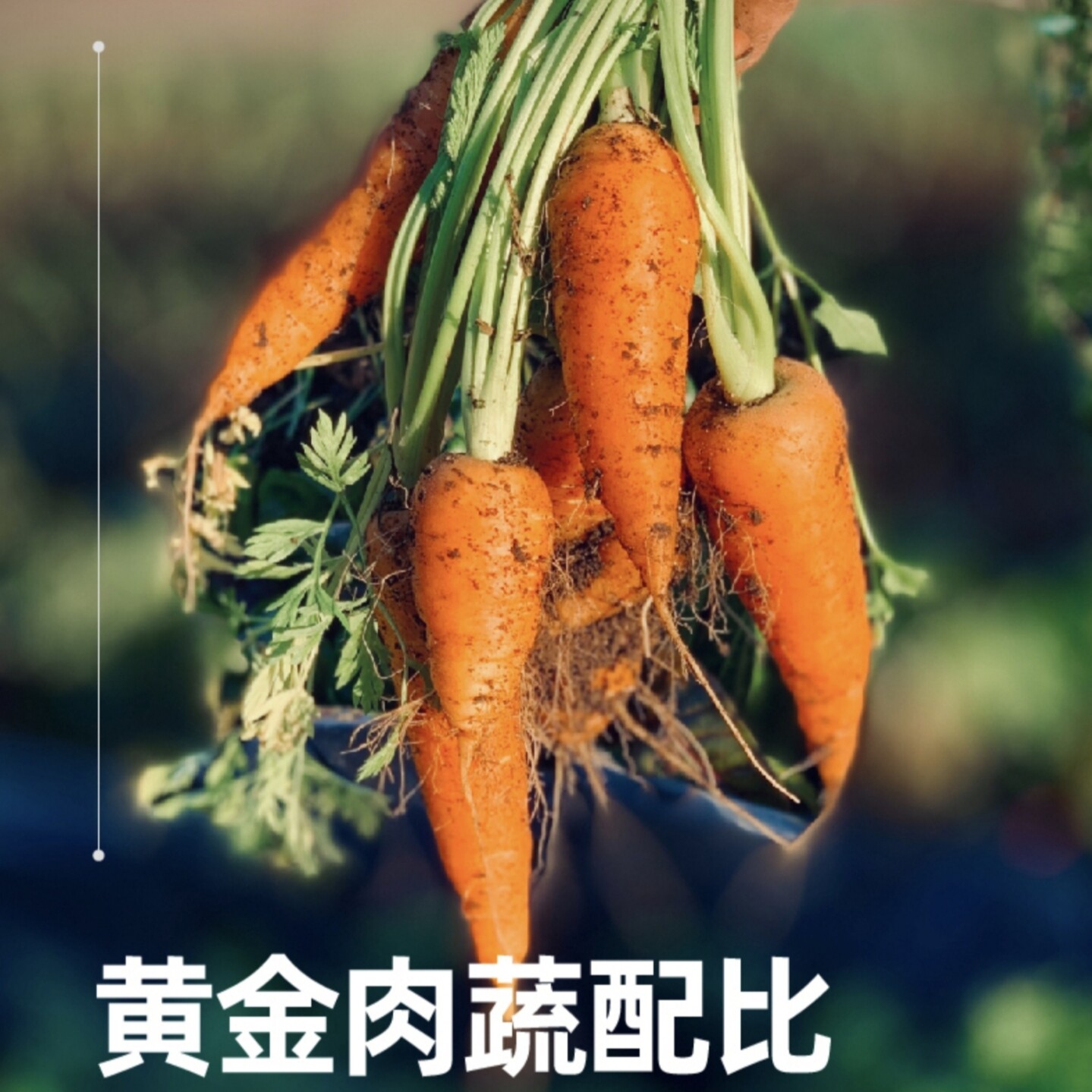 肉氏宠物主食肉肠105g鸭肉梨牛肉胡萝卜鸡肉三文鱼成幼犬营养香肠,淘宝优惠券,粉丝福利购,淘宝优惠卷