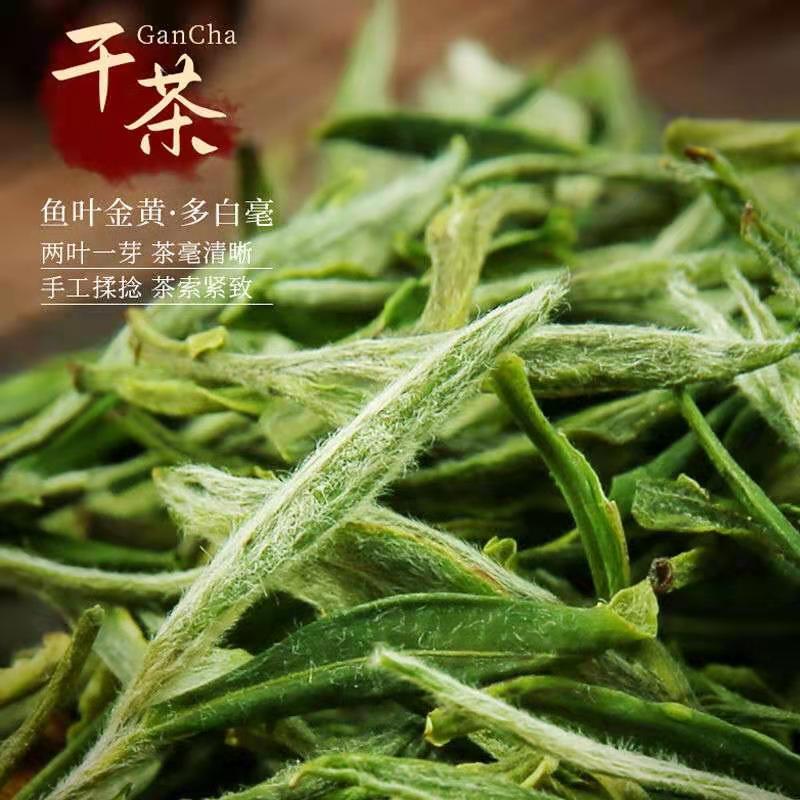 黄山毛峰新茶绿茶2024春茶安徽茶叶浓香型散装茶叶自己喝250g - 图2