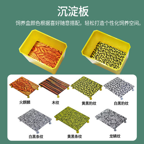 中大号发色沉淀板隔离板乌龟窄桥萨尔纹头盔果核巨头剃刀东方红面 - 图1