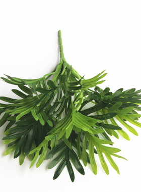 假花绿叶小铁树仿真植物墙绿植背景墙插花配材客厅餐桌盆栽装饰