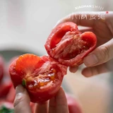 Xiaoman foods | shaanxi puyang provence томатный томатный томатный песчаный песчаная весна Sf бесплатная доставка