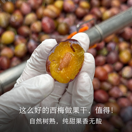 晚桔 西梅干 新疆伽师法兰西西梅 不添加更健康 香甜蜜饯水果干