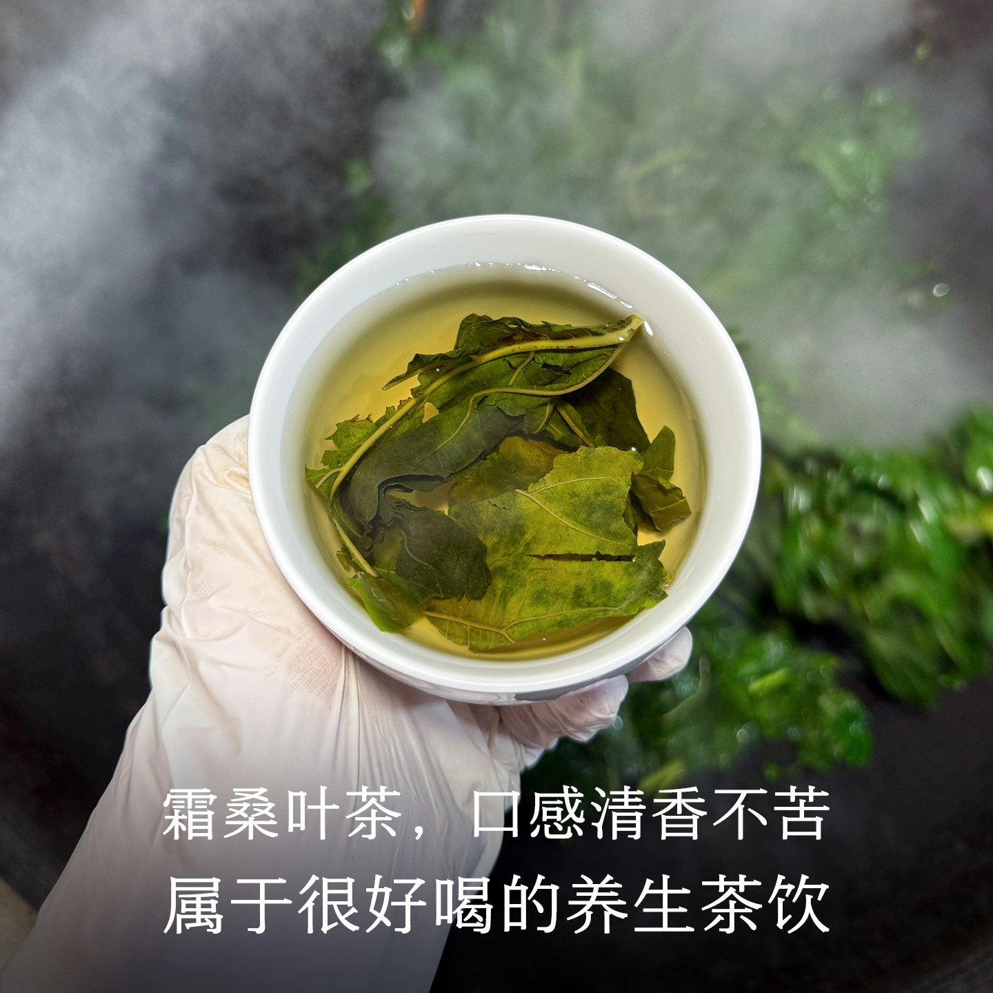 晚桔 霜桑叶茶 霜降后采摘柴锅炒熟非生茶 熬夜养生茶代用茶饮,淘宝优惠券,粉丝福利购,淘宝优惠卷