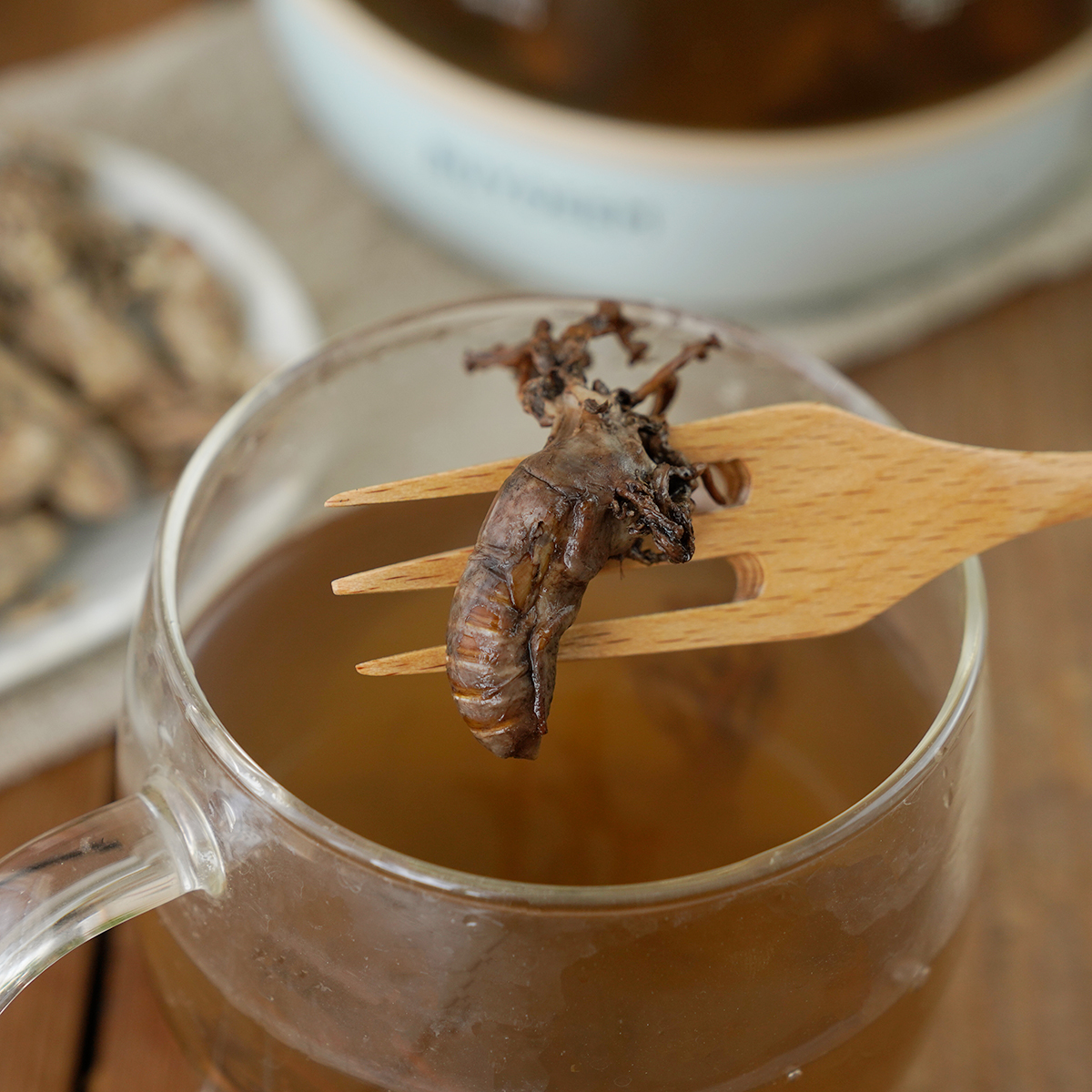 晚桔丨野金蝉花 皖南深山竹林臻品山珍 煮茶煲汤 日增补调养食用 - 图2