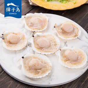 獐子岛大连 冻半壳虾夷扇贝850g 26-30只 速冻扇贝大连特产 海鲜