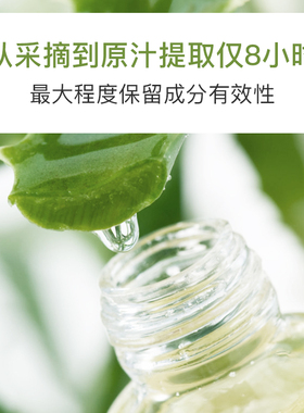 库拉索芦荟胶正品祛痘淡印补水保湿去痘印面霜睡眠面膜