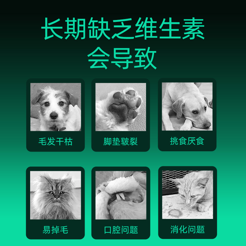 小宠益生菌复合维生素猫咪宠物狗狗专用多种维生素B猫用防掉毛 - 图2