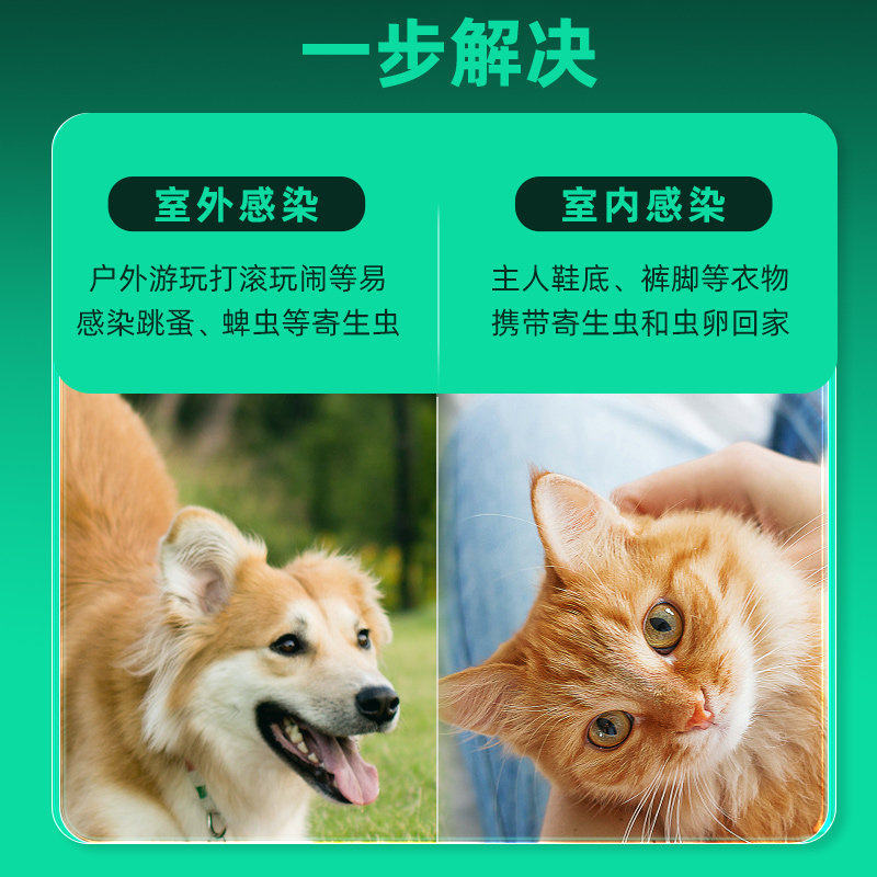 小宠虱敌猫咪狗狗体外驱虫药非泼罗尼滴剂宠物专用除跳蚤虱子蜱虫
