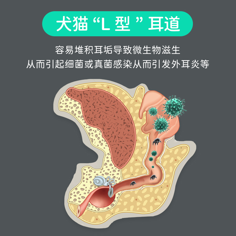 小宠洁耳舒宠物滴耳液猫咪狗狗耳朵清洁洗耳液犬猫通用除耳臭耳螨-图2