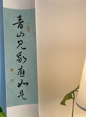 青山见我应如是手写书法卷轴