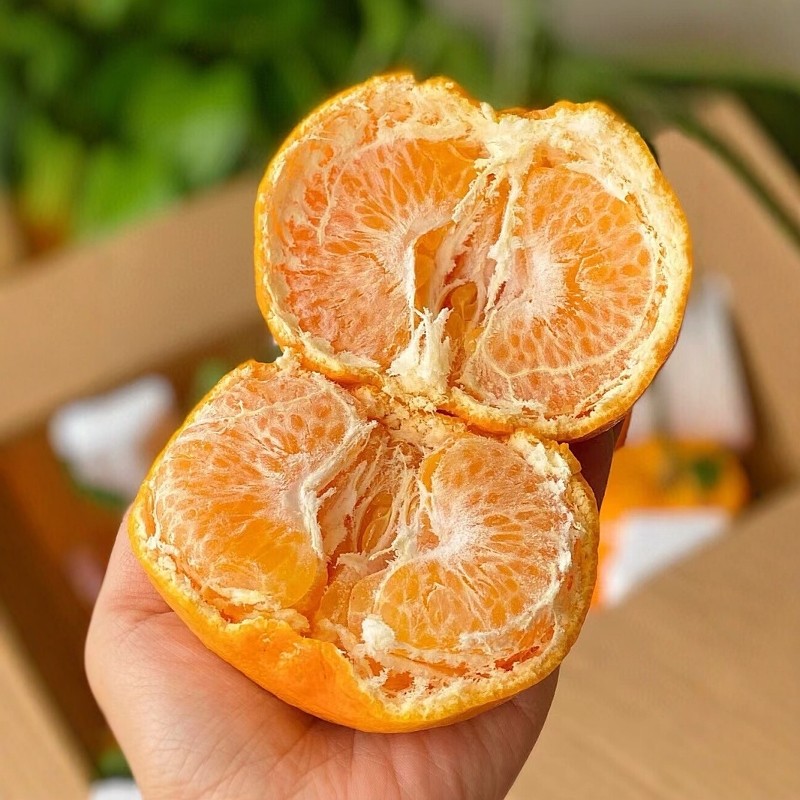 特级现摘四川爆浆春见耙耙柑当季新鲜水果整箱10斤超甜橘子粑粑柑,淘宝优惠券,粉丝福利购,淘宝优惠卷