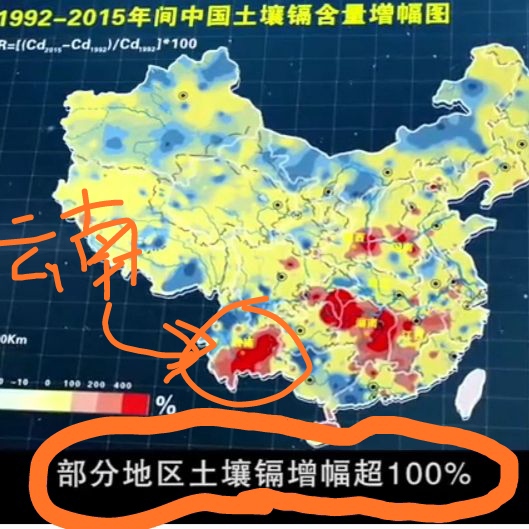 排重金属 铅汞超标中毒排毒 钝顶绿a迈多螺旋藻片粉 大西洋红皮藻 - 图1