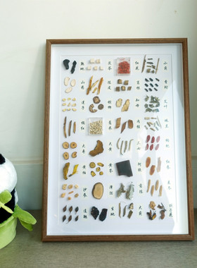 中药标本装饰画中医药展馆教学认识植物学习养生倪师家居摆设挂画