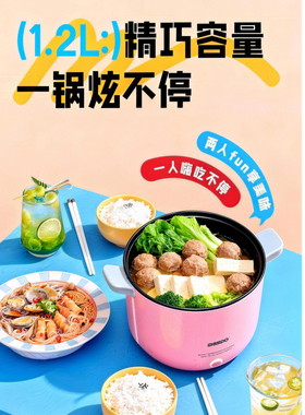 电煮锅家用学生宿舍蒸煮食小煮锅