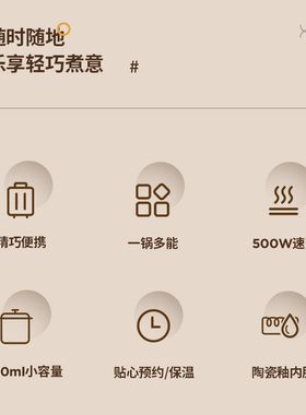 迷你电煮锅0.6L快速煲汤宝宝BB锅