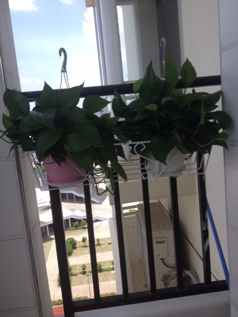 Rectangular balcony railing iron flower stand special price