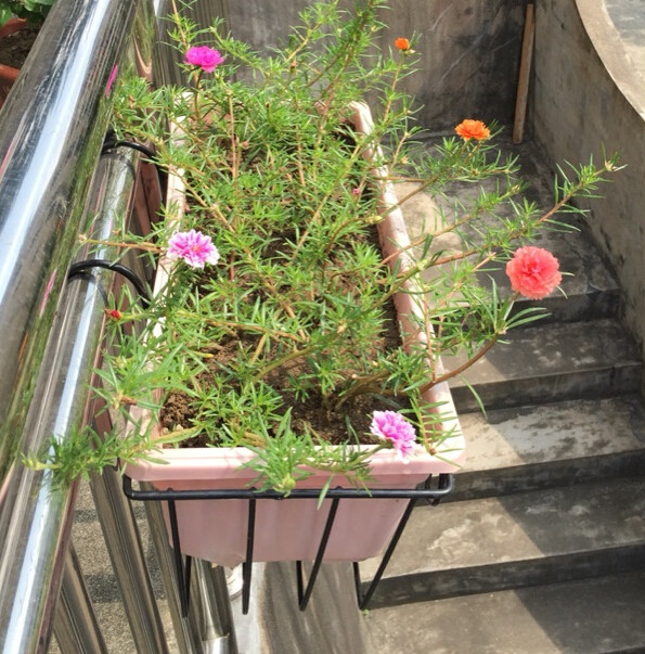 Rectangular balcony railing iron flower stand special price