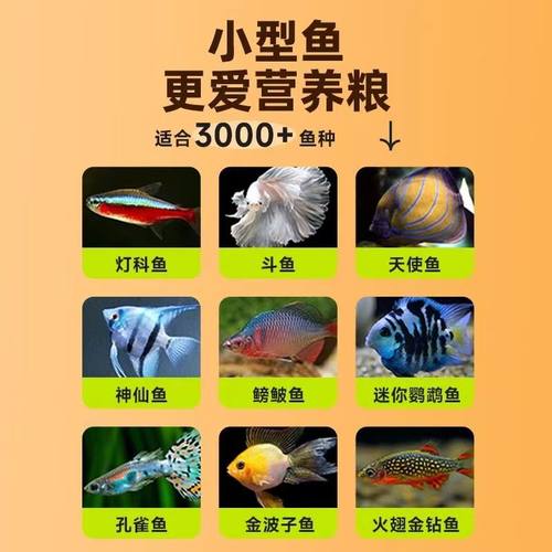 脱壳丰年虾卵鱼食通用鱼饲料饲料颗粒小型热带鱼孔雀鱼幼鱼开口小 - 图0