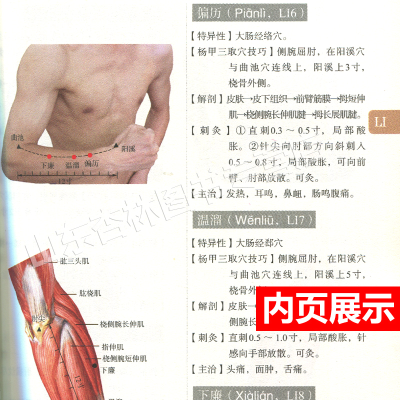 正版杨甲三针灸取穴图解全新版全真彩图精准取穴取穴速查技巧速记功效主治刘乃刚编针灸学自学入门书籍人体经络穴位图解书随身查-图1