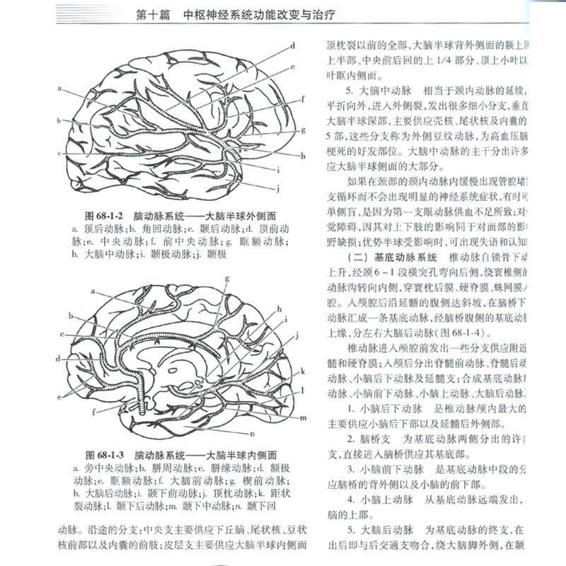 正版临床实用重症医学第2版第二版刘大为主编 实用重症书籍危重症医学教程急诊医学实用适于重症医学内科学急诊科人民卫生出版社 - 图2