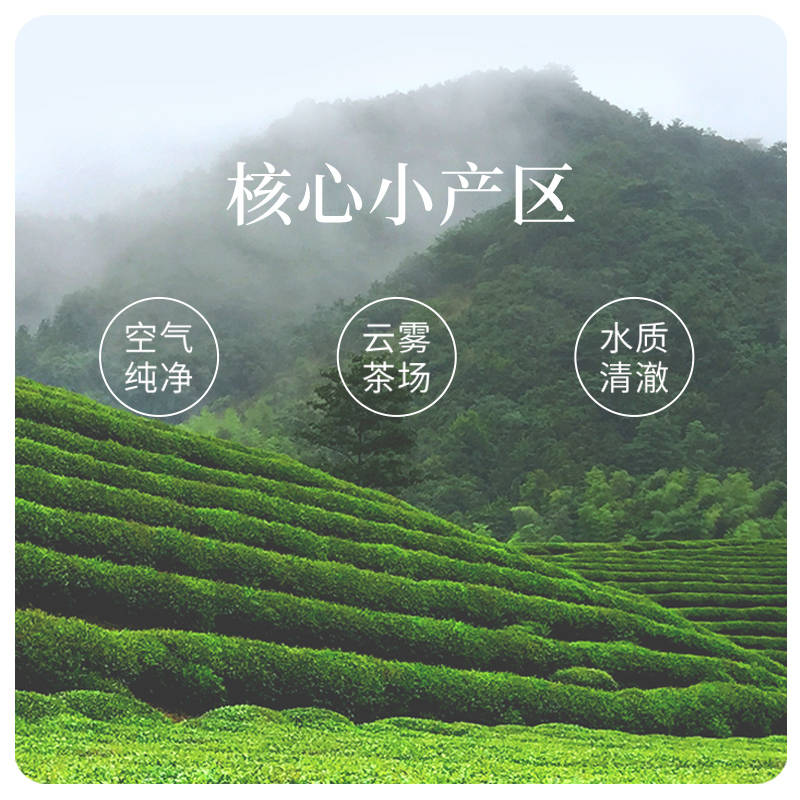 【顺丰】林恩雾绿茶2024新茶传承正宗明前绿茶年货送礼礼罐装88g