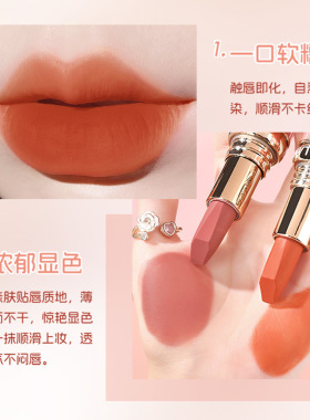 兰奕花瓣精油不沾杯口红 肉桂奶茶色雾面防水丝绒哑光不掉色美妆