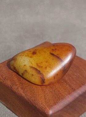 C030907新疆的猫19.6克艳美红油皮玻璃底老熟油糯的红沁皮玩籽