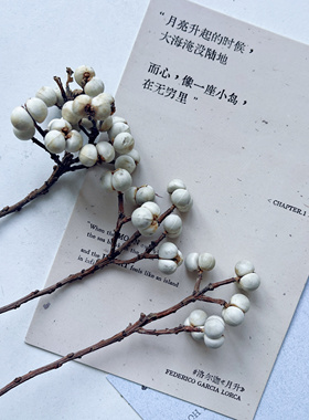 天然白果乌桕果永生花diy手作材料复古文艺家居插花拍摄道具花材