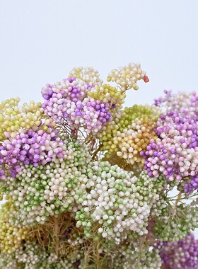 小米花米花永生花diy手工材料家居小清新渐变色干花婚庆拍照道具