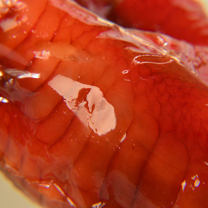 香酥鸡爪卤制鸡爪约 18克 休闲小吃零食品鸡肉零食肉制品真空批发,淘宝优惠券,粉丝福利购,淘宝优惠卷