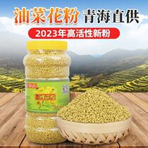 2023 Qinghai oil vegetable flower pure powder oil vegetable flower pollen prostate pollen edible edible canola pollen