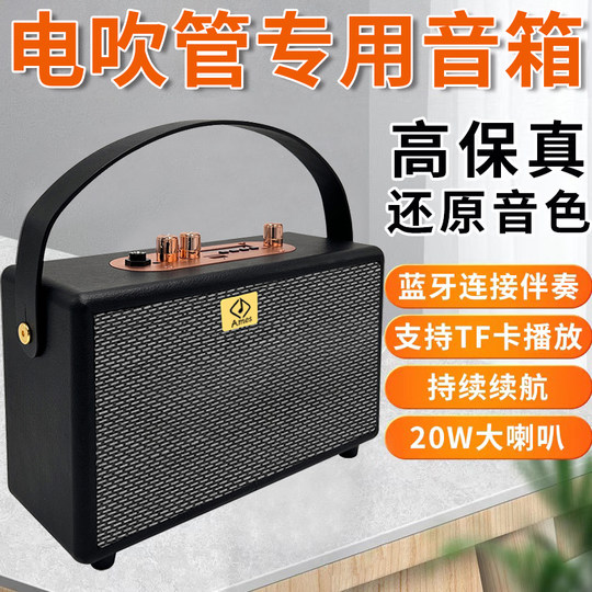 新款电吹管专用音箱户外演出家用小巧型便携式可充电蓝牙乐器音响